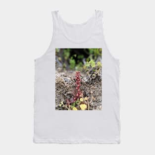 Pennywort Tank Top